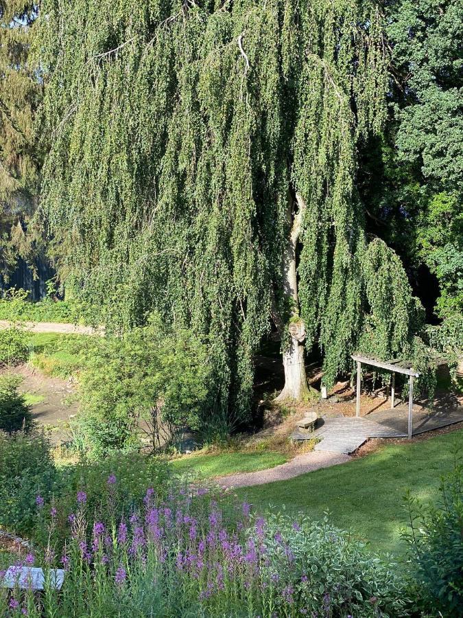 Parkhotel Villa Des Effats Vielsalm Zewnętrze zdjęcie